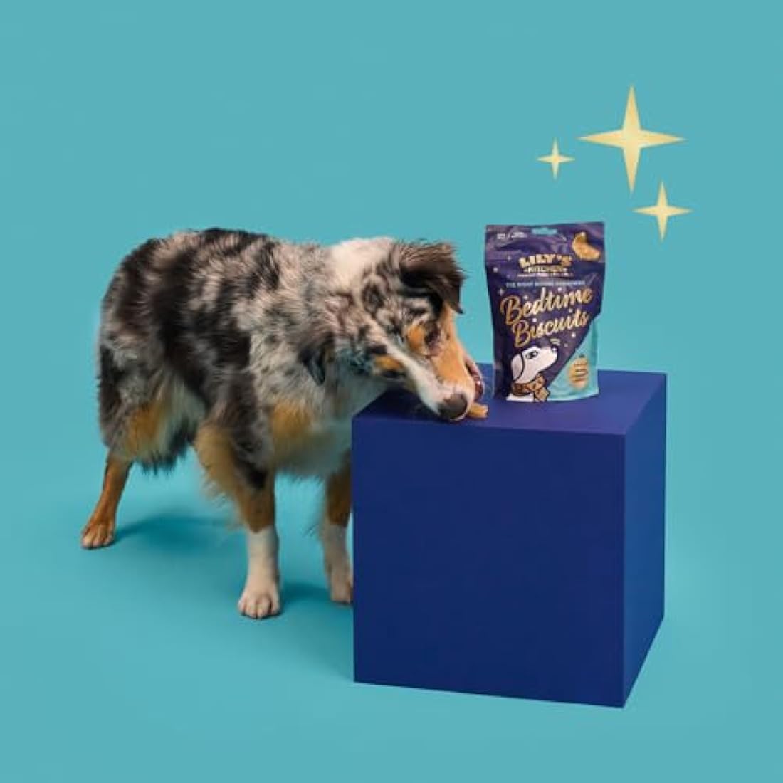 Lily’s Kitchen Christmas Bedtime Biscuits with Natural Ingredients - Adult Dog Treats Packet (8 Packs x 80g)