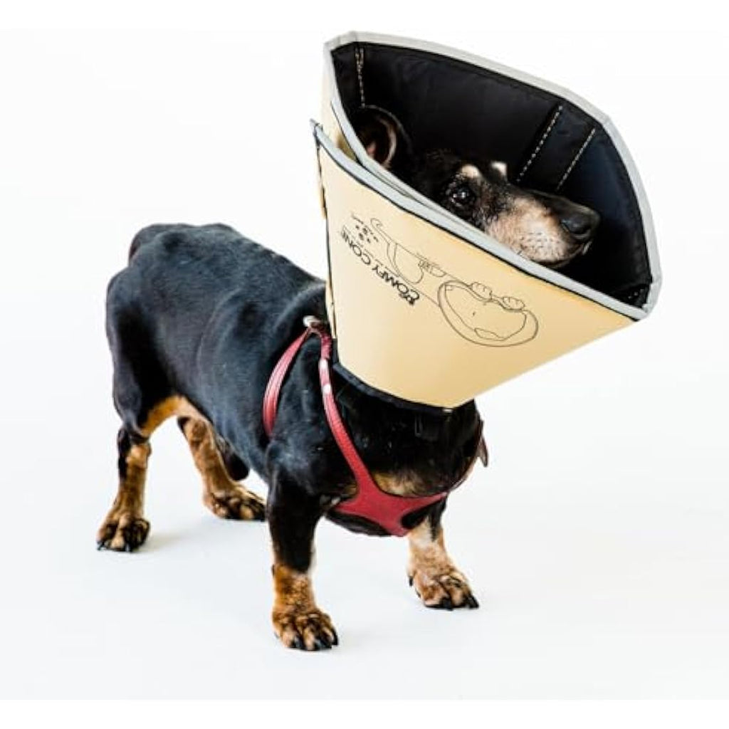 All Four Paws Comfy Cone Pet Cone for Dogs, Cats, Small-Long, Tan - Comfortable Soft Dog Cone Collar Alternative for After Surgery, Wound Care, Spay, Neuter - Dog and Cat Recovery Collar