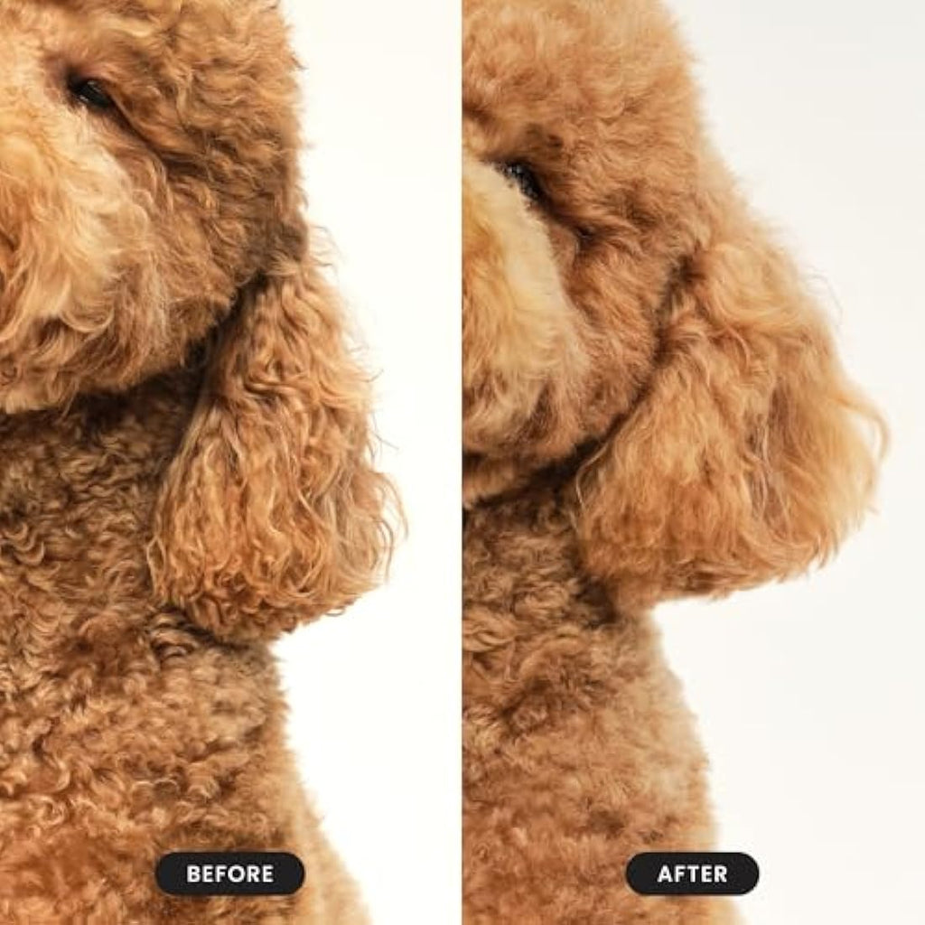 Tangle Teezer | Pet Teezer | Detangling and Dog Grooming Brush | Dry Brush or Dog Bath Brush | Navy & Orange