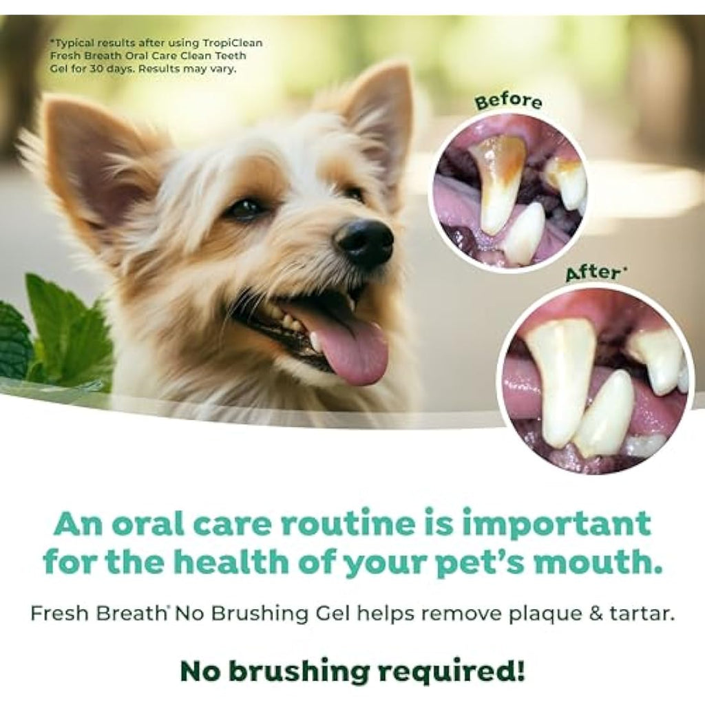 TropiClean Fresh Breath Dog Teeth Cleaning Gel - No Brushing Dental Care - Breath Freshener Oral Care - Complete Dog Teeth Cleaning Solution - Helps Remove Plaque & Tartar, Original, 118ml