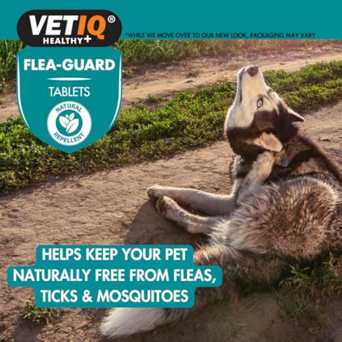 VETIQ Flea-Guard Tablets For Cats & Dogs, a Natural Repellent Keeps Pets Free From Fleas, Ticks & Mosquitoes, Contains Yeast, Zinc, B Vitamins & Garlic, 90 Tablets (Pack of 1)