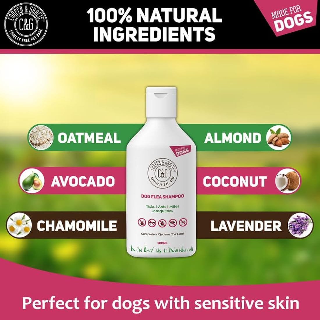 Dog Flea & Tick Shampoo for Itchy Skin 500ml - Medicated Flea & Tick Cleanser for Sensitive and Smelly Dogs - Antibacterial & Anti-Fungal Grooming Product