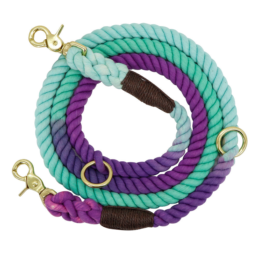 Gradient Pet Walking Dog Collars and Leads