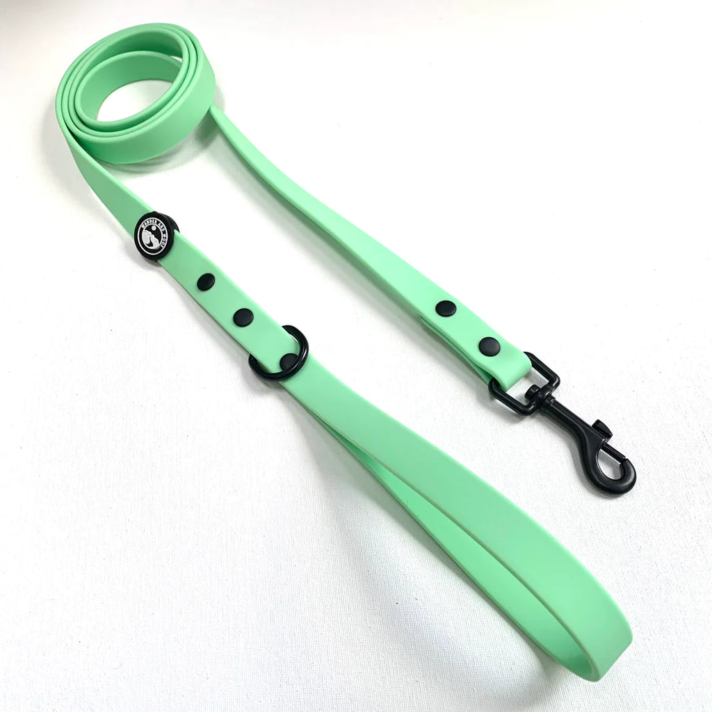 Waterproof Dog Lead (Mint) by Wander and Woof