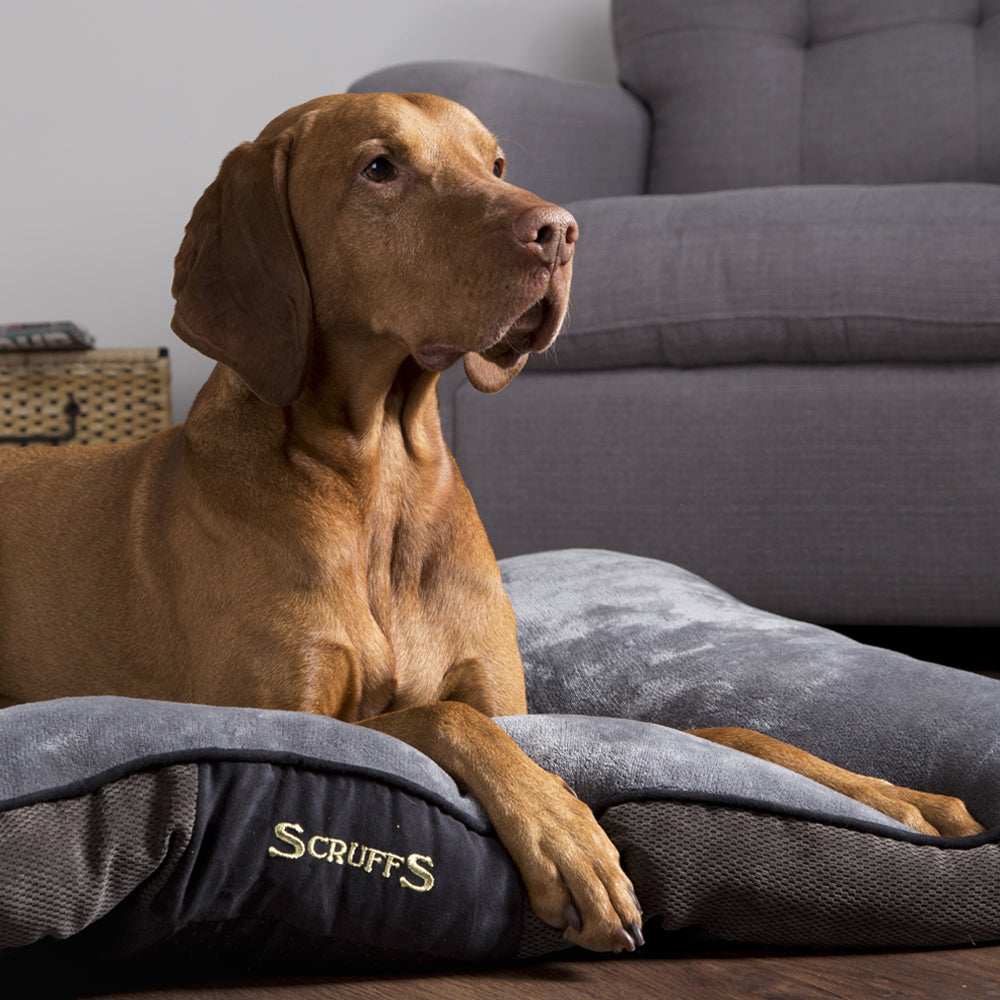 Chester Dog Mattress (in Chocolate Brown or Graphite Grey) by Scruffs