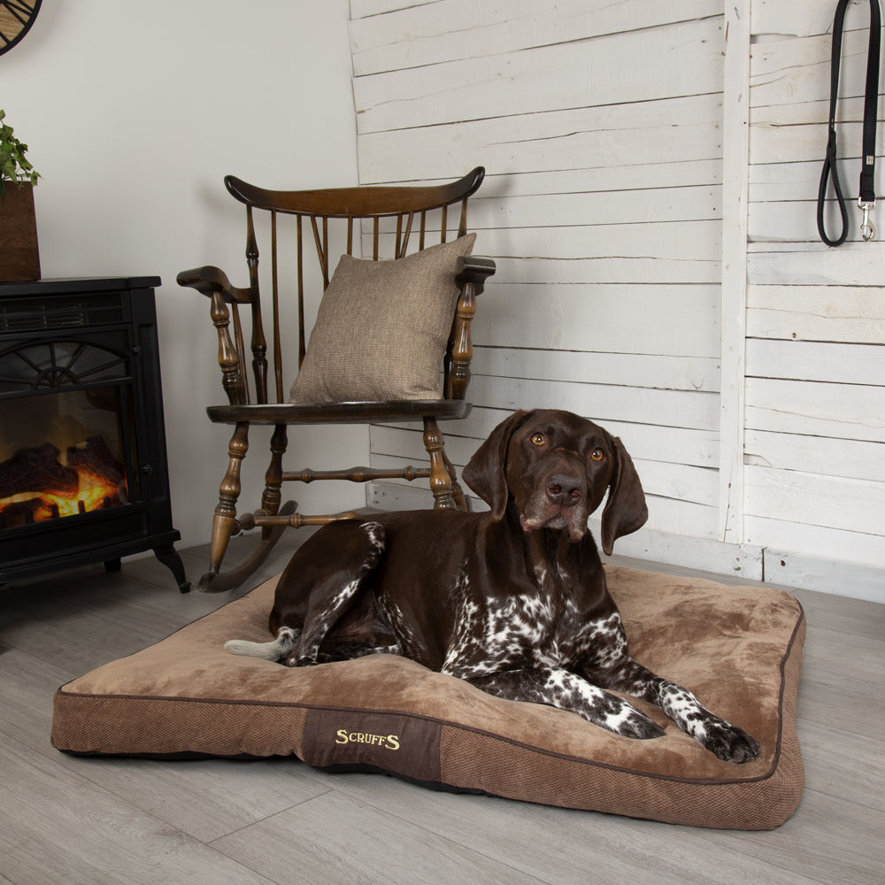 Chester Dog Mattress (in Chocolate Brown or Graphite Grey) by Scruffs