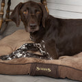Chester Dog Mattress (in Chocolate Brown or Graphite Grey) by Scruffs