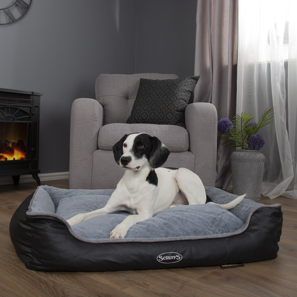 Chateau Memory Foam Orthopaedic Box Dog Bed (Dove, Latte) by Scruffs