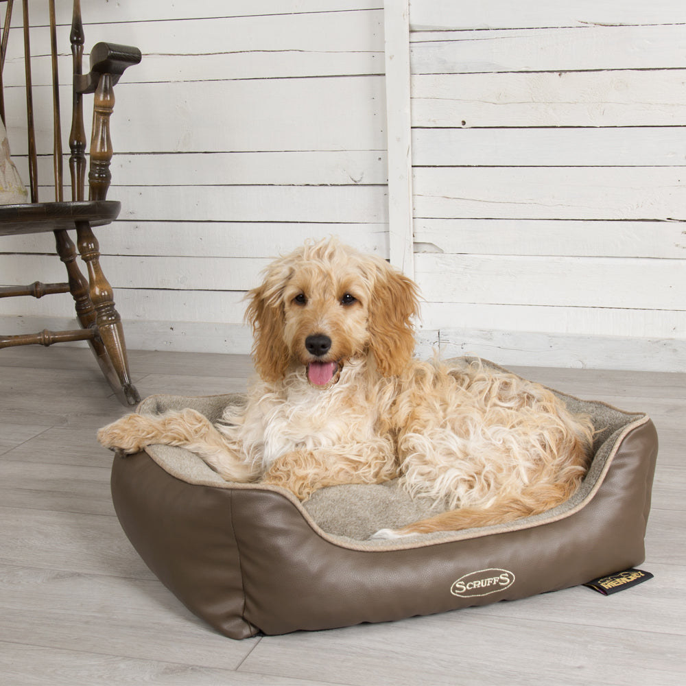 Chateau Memory Foam Orthopaedic Box Dog Bed (Dove, Latte) by Scruffs