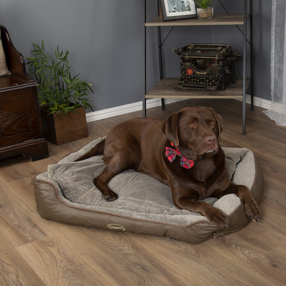 Chateau Memory Foam Orthopaedic Box Dog Bed (Dove, Latte) by Scruffs