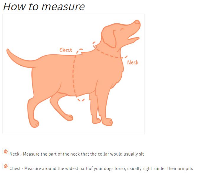 Oxford "Blush" Adjustable Dog Harness – by Flossie & Floof