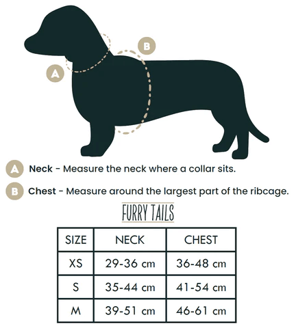 Dog Harness (Full Set) (Peaches) – Dog Harness, Dog Collar, Dog Lead, Dog Poo Holder, Dog Bow Tie – by Furry Tails