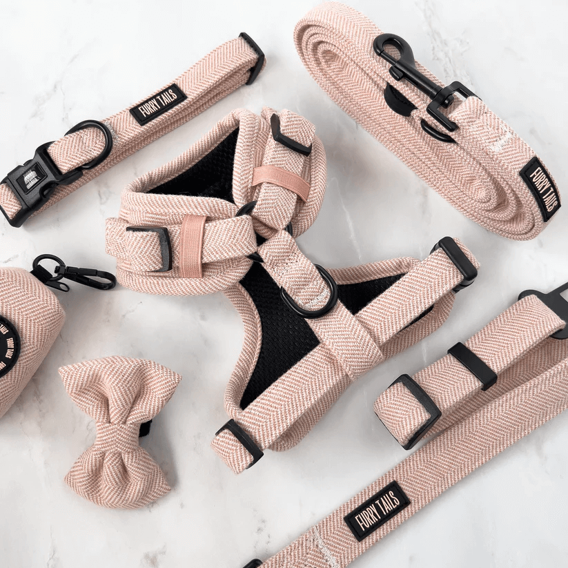 Dog Harness (Full Set) (Peaches) – Dog Harness, Dog Collar, Dog Lead, Dog Poo Holder, Dog Bow Tie – by Furry Tails