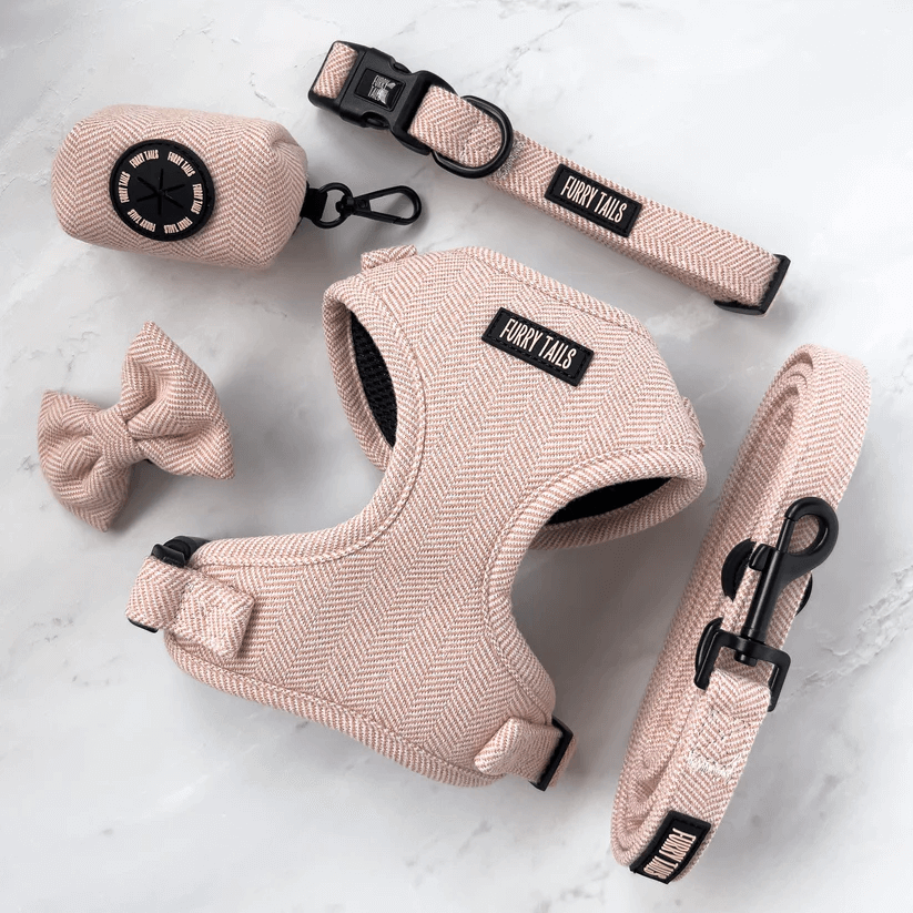 Dog Harness (Full Set) (Peaches) – Dog Harness, Dog Collar, Dog Lead, Dog Poo Holder, Dog Bow Tie – by Furry Tails
