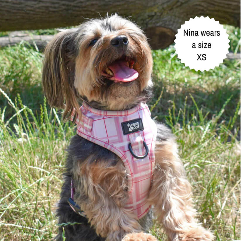 Oxford "Blush" Adjustable Dog Harness – by Flossie & Floof