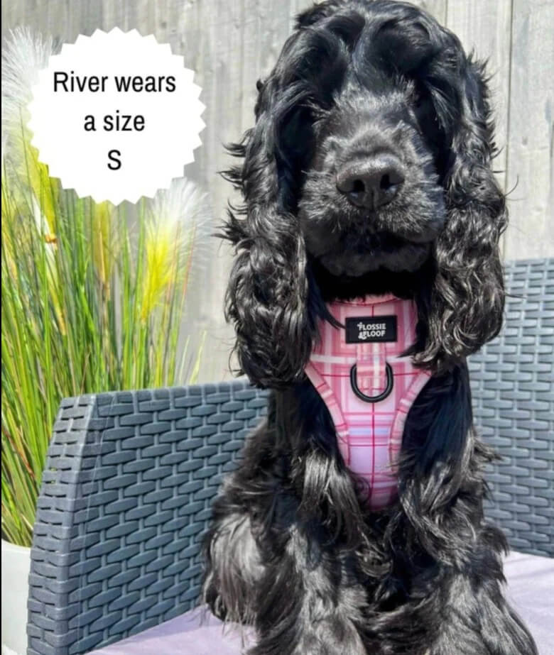 Oxford "Blush" Adjustable Dog Harness – by Flossie & Floof
