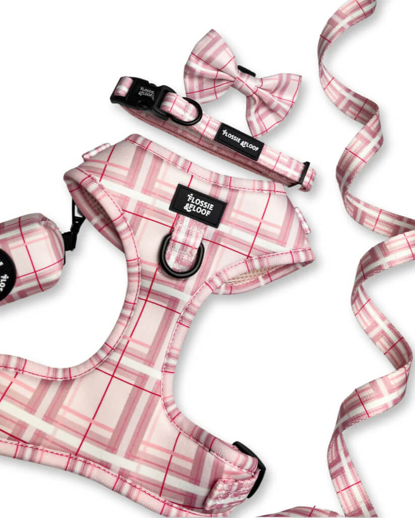 Oxford "Blush" Adjustable Dog Harness – by Flossie & Floof