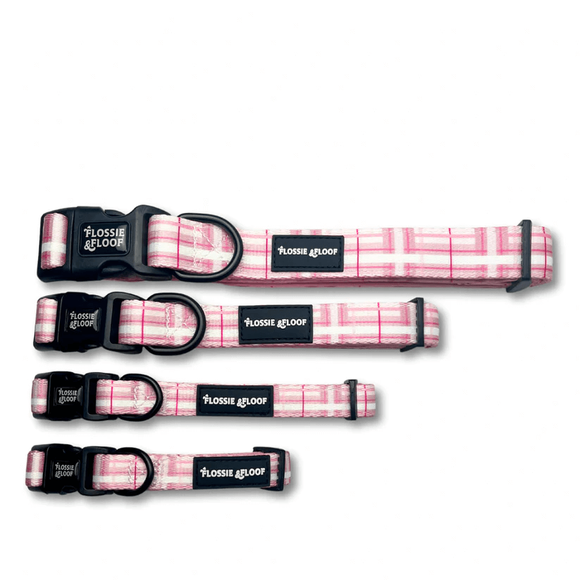 Oxford "Blush" Adjustable Dog Collar – by Flossie & Floof