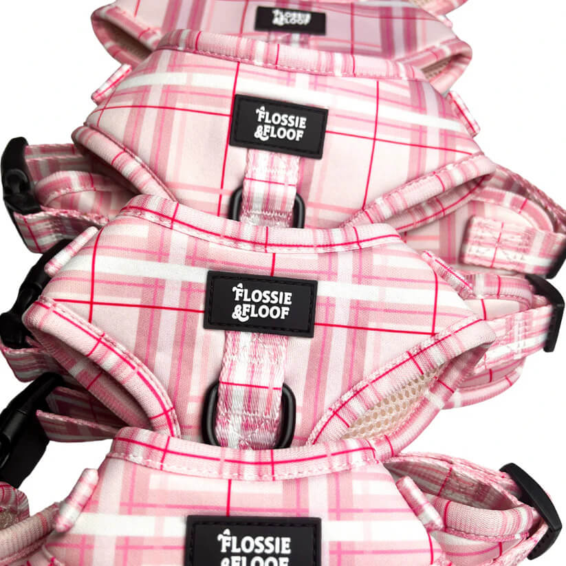 Oxford "Blush" Adjustable Dog Harness – by Flossie & Floof