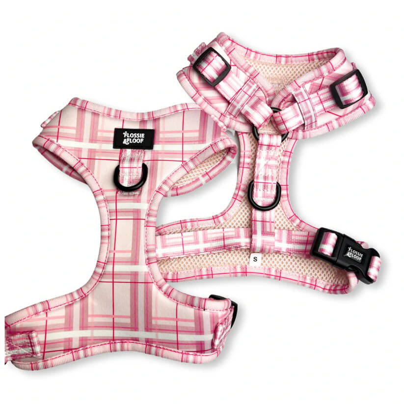 Oxford "Blush" Adjustable Dog Harness – by Flossie & Floof
