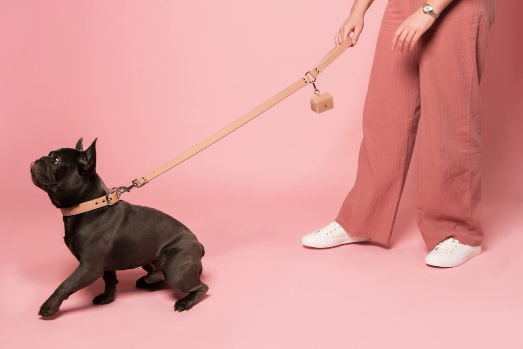 Blush Pink Dog Lead (Vegan Apple Leather) – by Skylos Collective-2