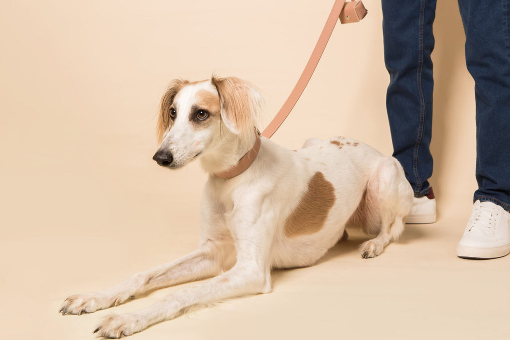 Blush Pink Dog Lead (Vegan Apple Leather) – by Skylos Collective-3
