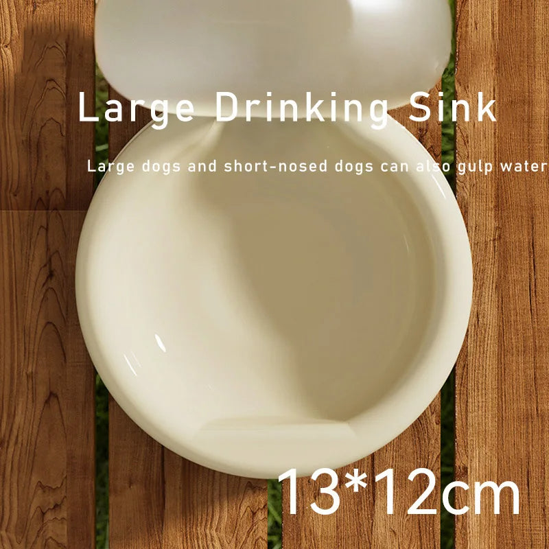 Portable 500ml Pet Water Bottle